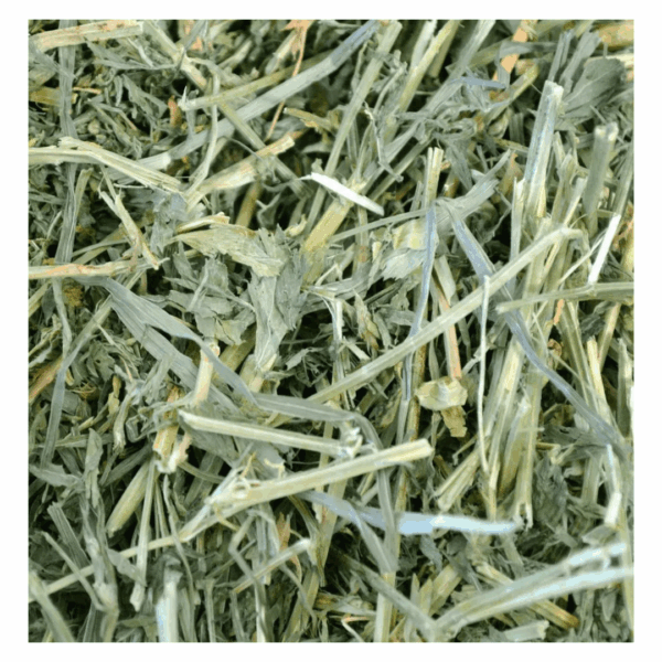 Oxbow Alfalfa Hay - 1,13 kg - immagine 3