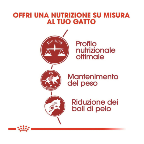 Royal Canin Cat Regular Fit - 400 g - immagine 3