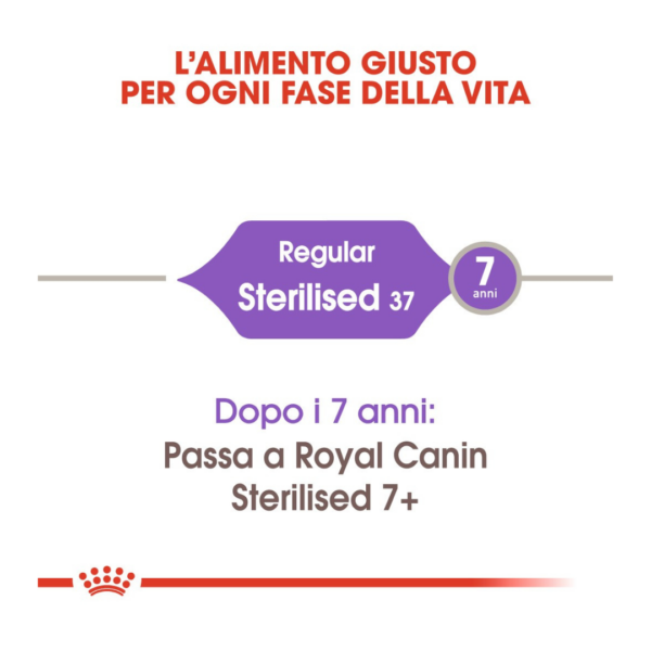 Royal Canin Cat Regular Sterilised - 2 kg - immagine 4