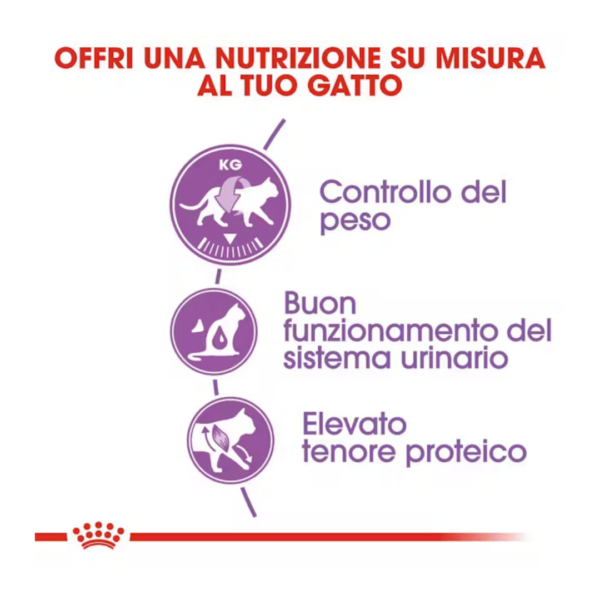 Royal Canin Cat Regular Sterilised - 2 kg - immagine 3