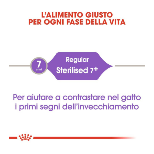 Royal Canin Cat Regular Sterilised 7+ - 1,5 kg - immagine 4