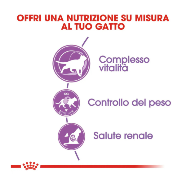 Royal Canin Cat Regular Sterilised 7+ - 1,5 kg - immagine 3