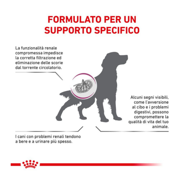 Royal Canin Dog Veterinary Diet Renal - 2 kg - immagine 4