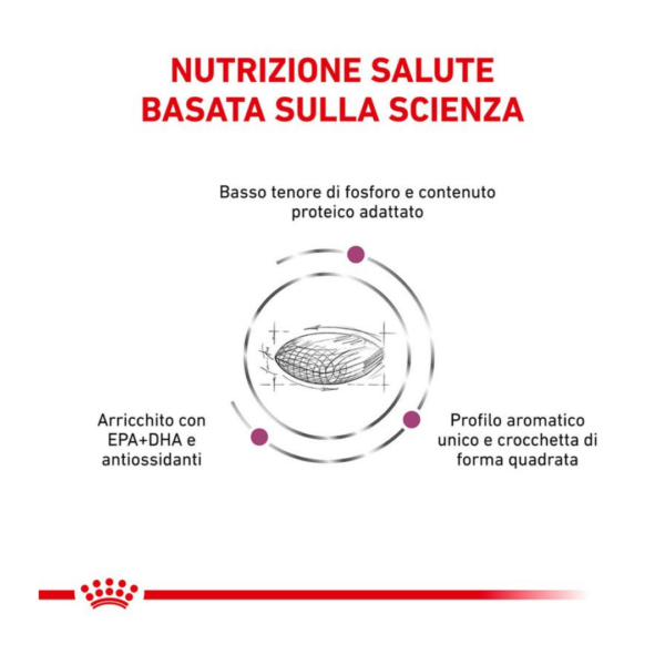 Royal Canin Dog Veterinary Diet Renal - 2 kg - immagine 2