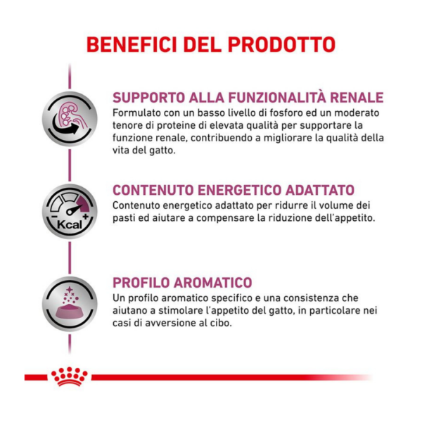 Royal Canin Cat Veterinary Diet Renal Multipack Manzo - 12X85 g - immagine 4