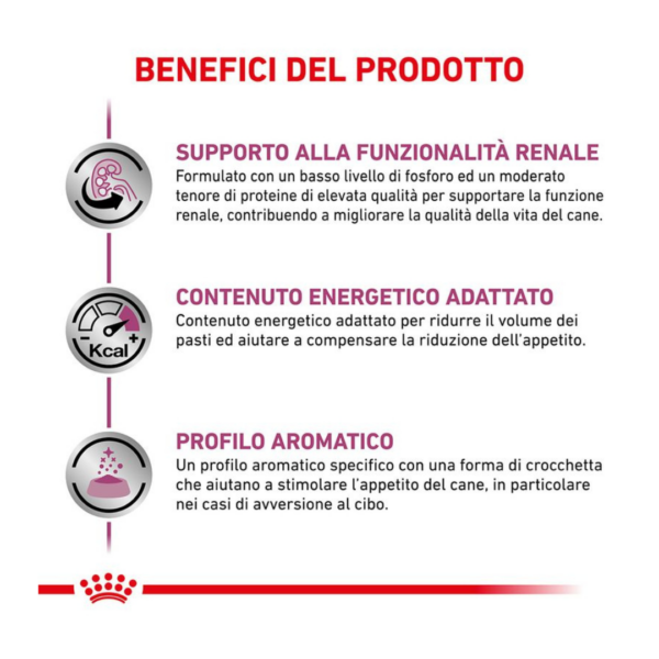 Royal Canin Dog Veterinary Diet Renal - 2 kg - immagine 3
