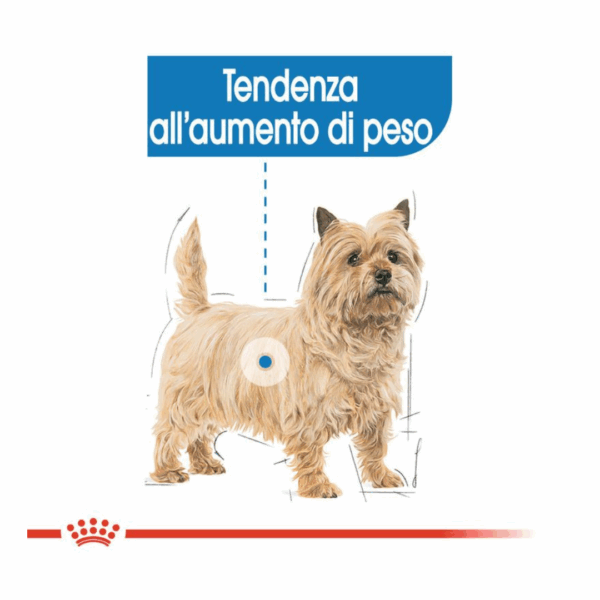 Royal Canin Dog Mini Light Weight Care - 1 kg - immagine 3