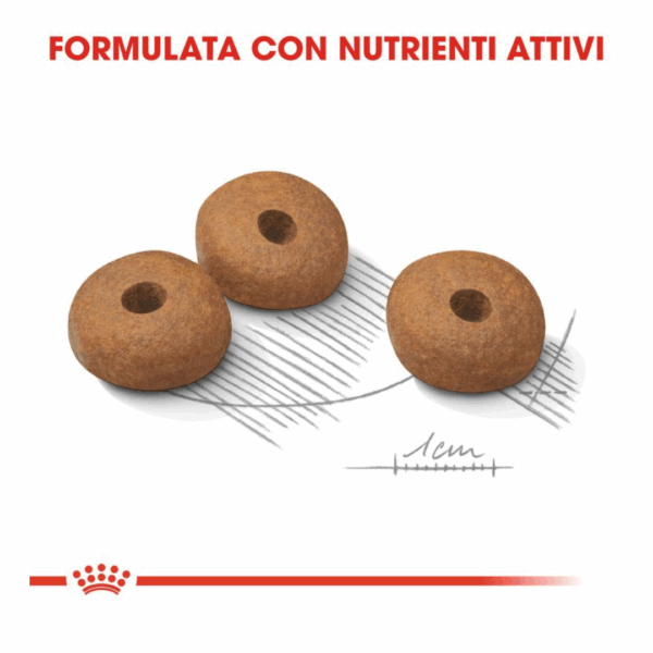 Royal Canin Dog Mini Light Weight Care - 1 kg - immagine 4