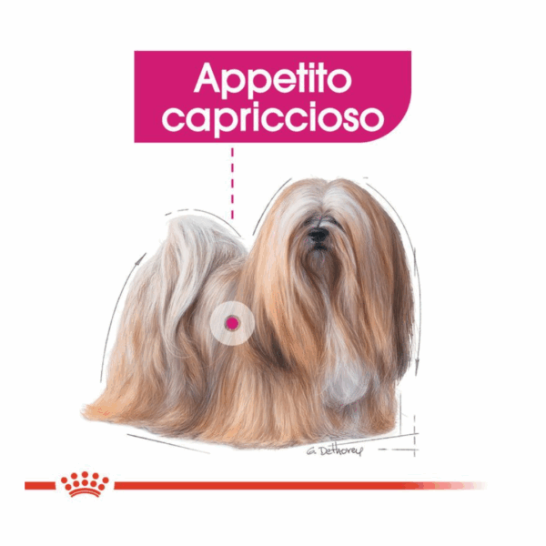 Royal Canin Dog Mini Exigent - 1 kg - immagine 4