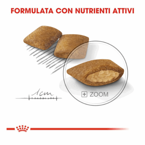 Royal Canin Dog Mini Exigent - 1 kg - immagine 5