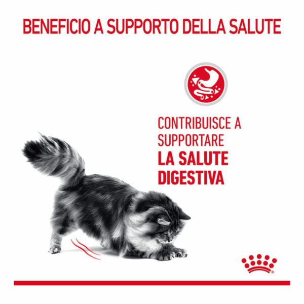 Royal Canin Cat Digestive Care - 400 g - immagine 3