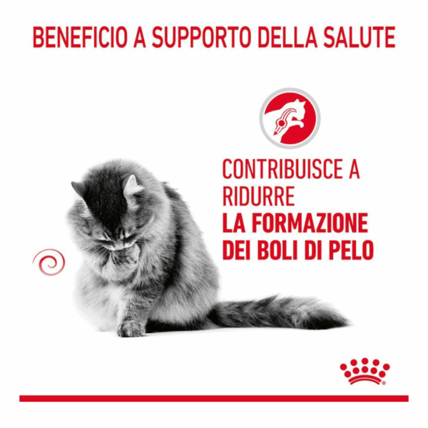 Royal Canin Cat Hairball Care - 400 g - immagine 3