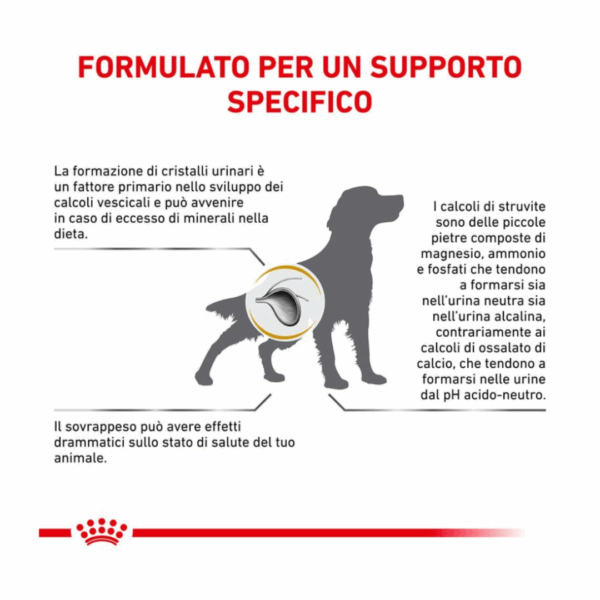 Royal Canin Dog Veterinary Diet Urinary S/O Moderate Calorie - 1,5 kg - immagine 4