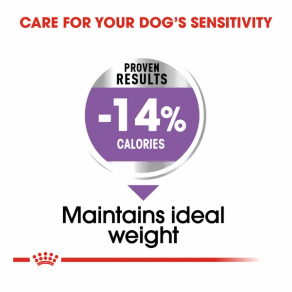 Royal Canin Dog Mini Sterilised - 1 kg - immagine 2