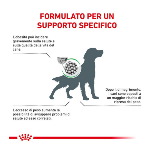 Royal Canin Dog Veterinary Diet Satiety Weight Management - 1,5 kg - immagine 4