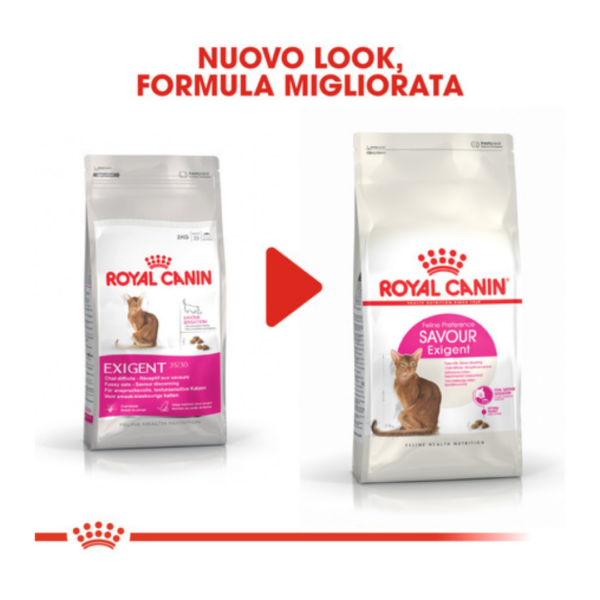 Royal Canin Cat Feline Preference Savour Exigent - 2 kg - immagine 5