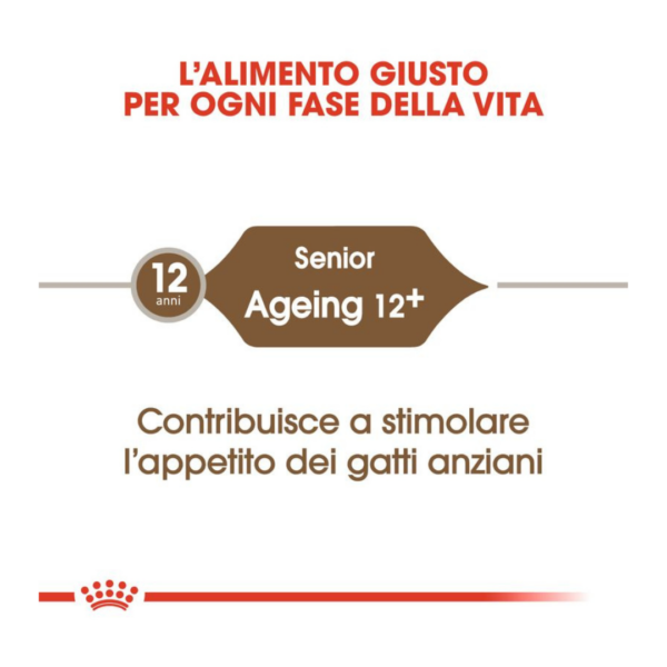 Royal Canin Cat Senior Ageing 12+ - 2 kg - immagine 4