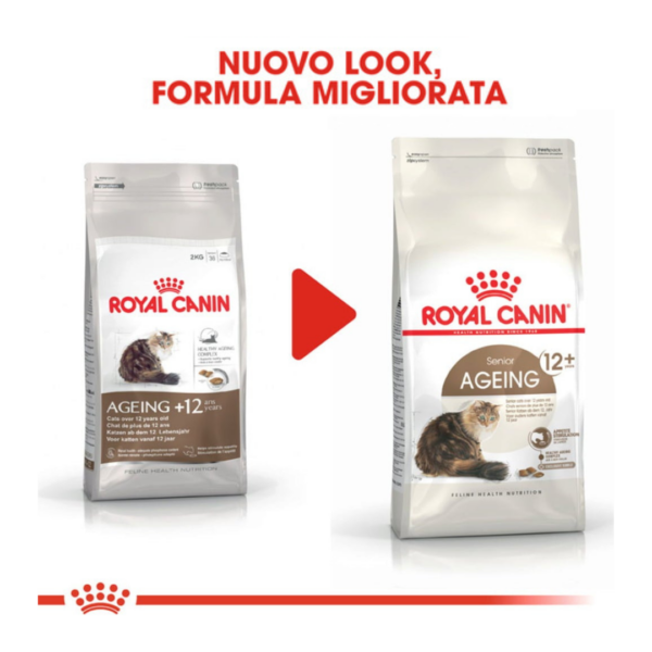 Royal Canin Cat Senior Ageing 12+ - 2 kg - immagine 6