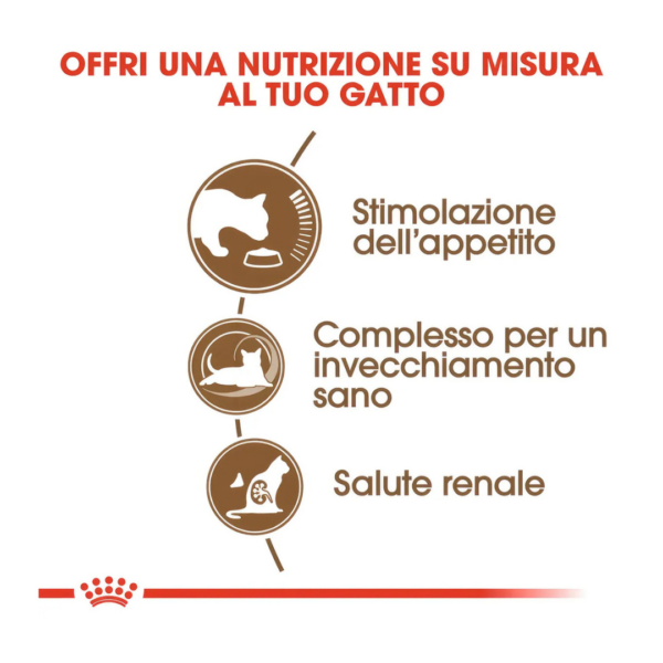 Royal Canin Cat Senior Ageing 12+ - 2 kg - immagine 3