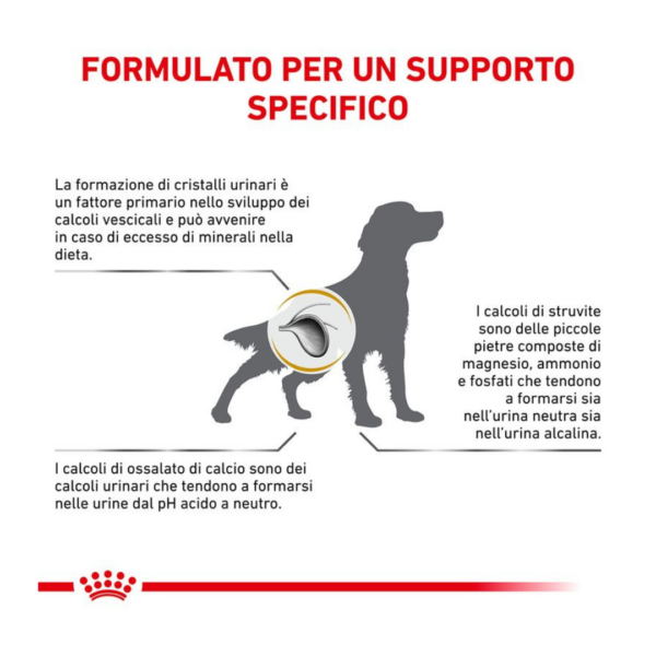 Royal Canin Dog Veterinary Diet Urinary S/O - 2 kg - immagine 4