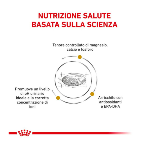 Royal Canin Dog Veterinary Diet Urinary S/O Moderate Calorie - 12 kg - immagine 2