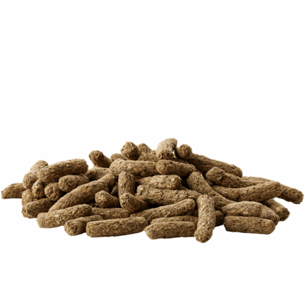 Versele-Laga Complete Cavia Adult con Sambuco e Fieno Timothy - 1,75 kg - immagine 2