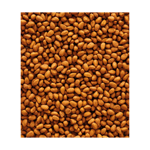 Versele-Laga NutriBird G14 Original Mantenimento per Parrocchetti - 1 kg - immagine 3