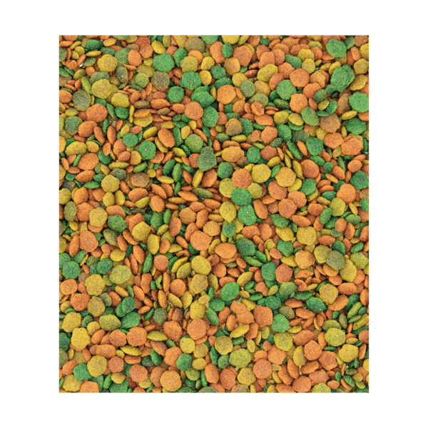 Versele-Laga NutriBird G14 Tropical Mantenimento per Parrocchetti - 1 kg - immagine 3