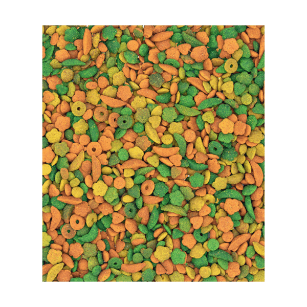 Versele-Laga NutriBird P15 Tropical Mantenimento per Pappagalli - 3 kg - immagine 3