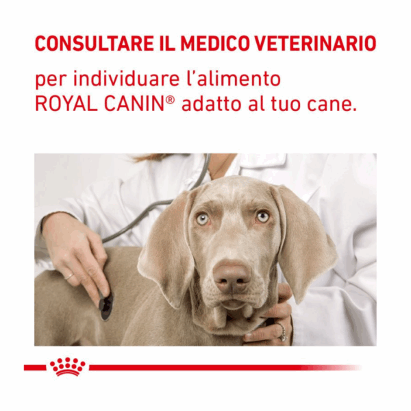 Royal Canin Dog Veterinary Diet Hypoallergenic Small Dogs – 1 kg - immagine 5