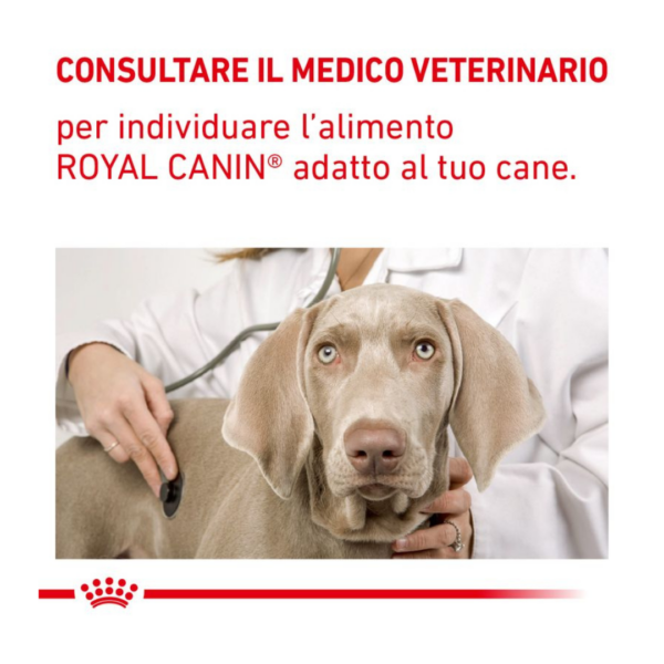 Royal Canin Dog&Cat Veterinary Diet Recovery - 195 g - immagine 4