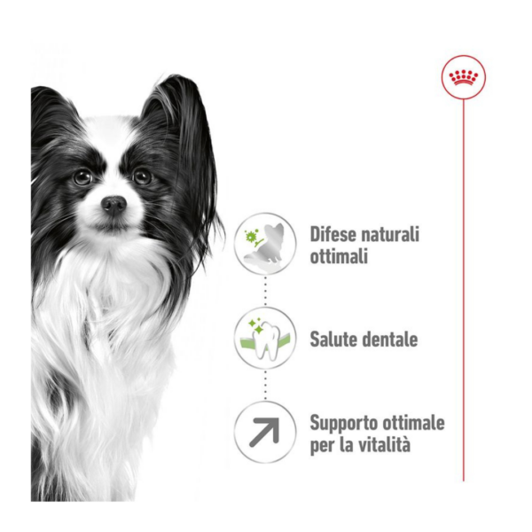 Royal Canin Dog X-Small Adult 8+ - 1,5 kg - immagine 3