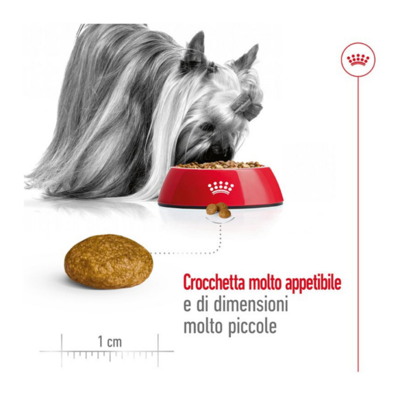 Royal Canin Dog X-Small Adult - 1,5 kg - immagine 5