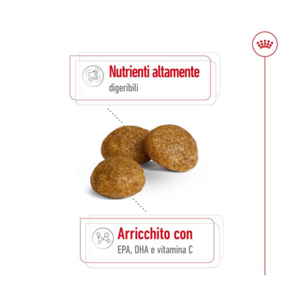 Royal Canin Dog X-Small Adult - 1,5 kg - immagine 4