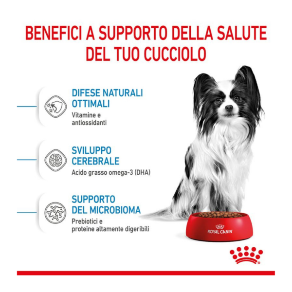 Royal Canin Dog Puppy X-Small - 1,5 kg - immagine 5