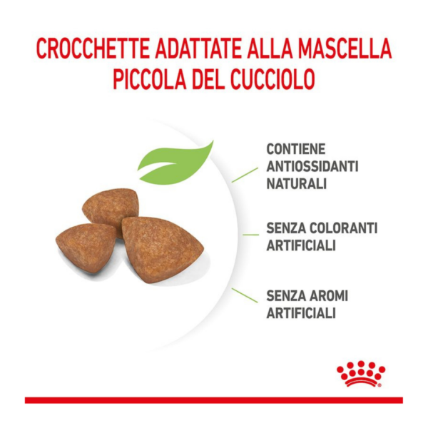 Royal Canin Dog Puppy X-Small - 1,5 kg - immagine 3