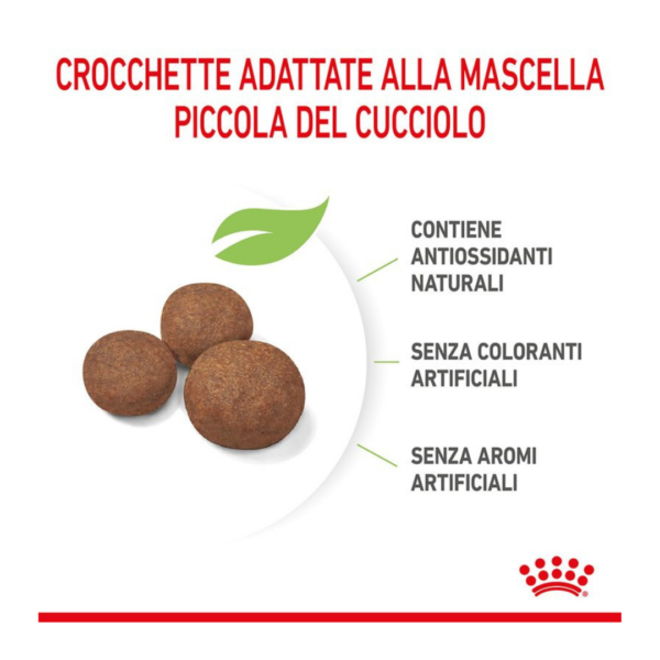 Royal Canin Dog Puppy Medium - 15 kg - immagine 3