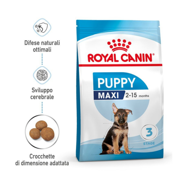 Royal Canin Dog Puppy Maxi - 4 kg - immagine 2