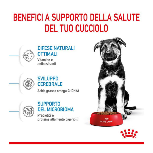 Royal Canin Dog Puppy Maxi - 4 kg - immagine 5