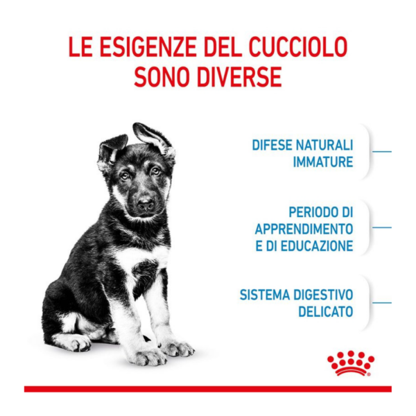 Royal Canin Dog Puppy Maxi - 4 kg - immagine 4