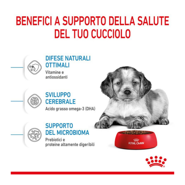 Royal Canin Dog Puppy Medium - 15 kg - immagine 5