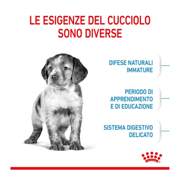 Royal Canin Dog Puppy Medium - 15 kg - immagine 4