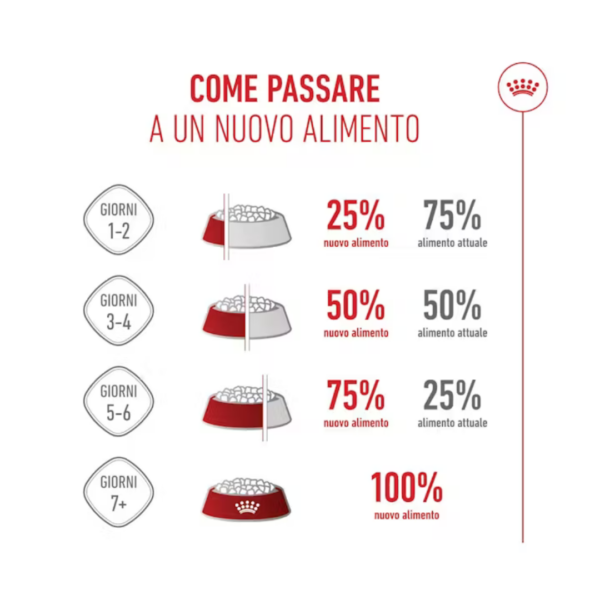 Royal Canin Dog Mini Adult - 800 g - immagine 6