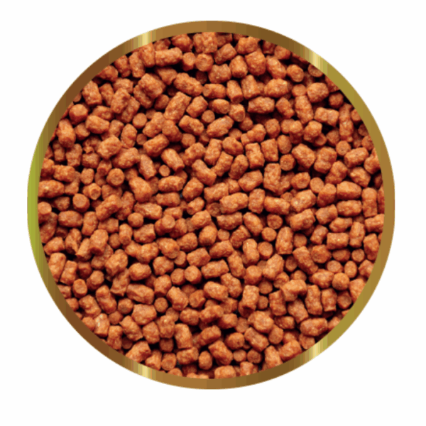 SHG Young Turtle Pellet Mangime per Giovani Tartarughe Aquatiche - 40 g - immagine 2