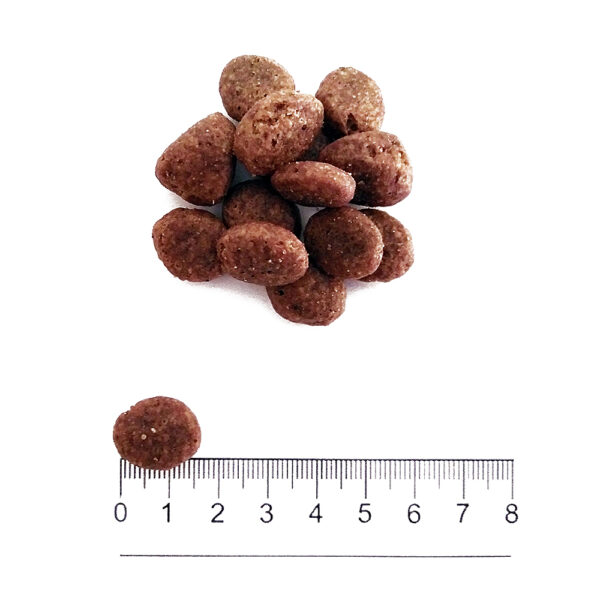 Prolife Grain Free Dog Adult Sensitive Medium&Large Maiale e Patate - 2,5 kg - immagine 2