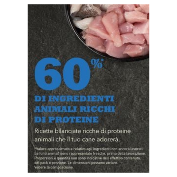 Acana Dog Adult Recipe - 11,4 kg - immagine 3