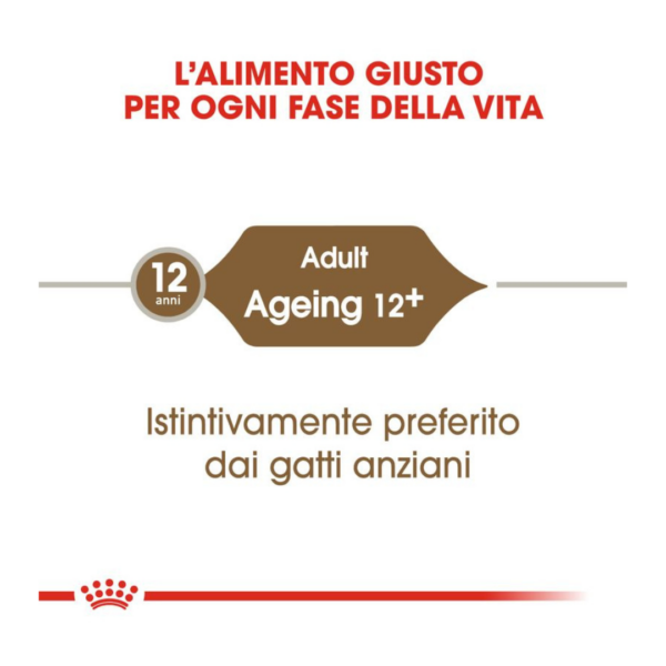 Royal Canin Cat Ageing 12+ Bocconcini in Salsa - 12X85 g - immagine 5