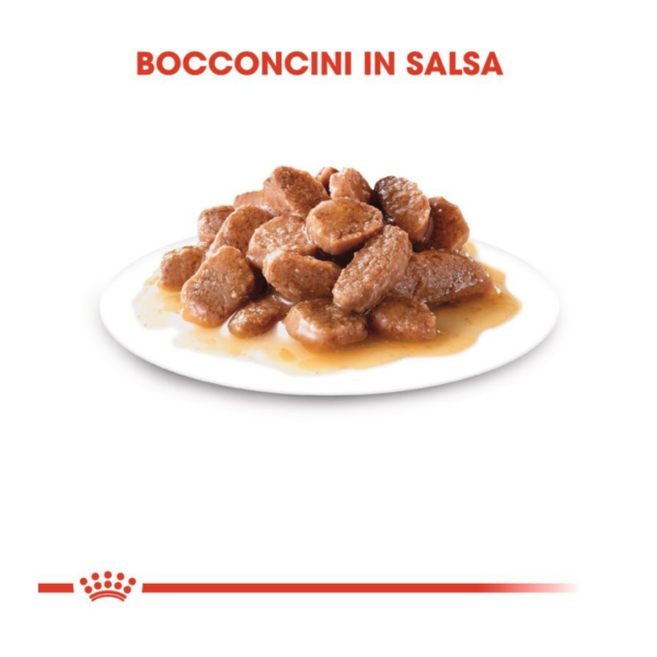 Royal Canin Cat Instinctive Bocconcini in Salsa - 12X85 g - immagine 6