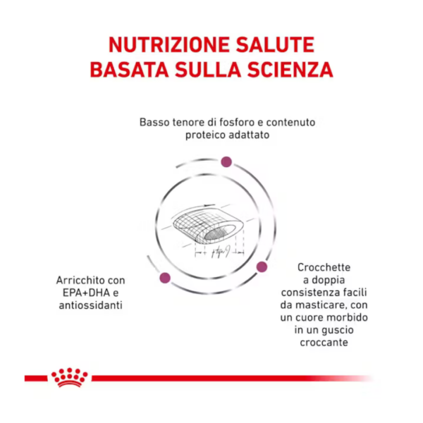 Royal Canin Cat Veterinary Diet Renal Select - 400 g - immagine 3