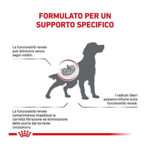 Royal Canin Dog Veterinary Diet Early Renal - 2 kg - immagine 4